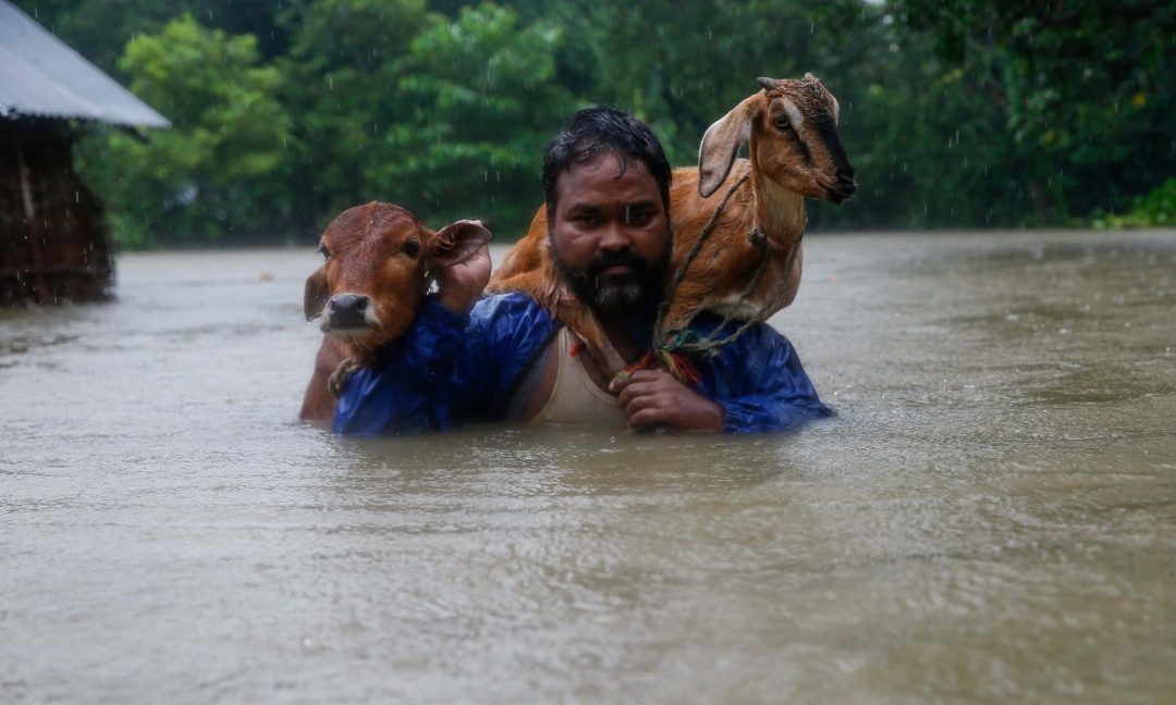 Nepal Flooding : Help for Today, Help for Tomorrow