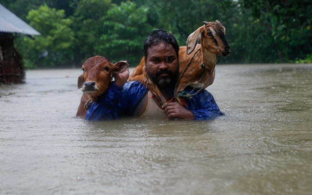 Nepal Flooding:  Help Today, Help Tomorrow