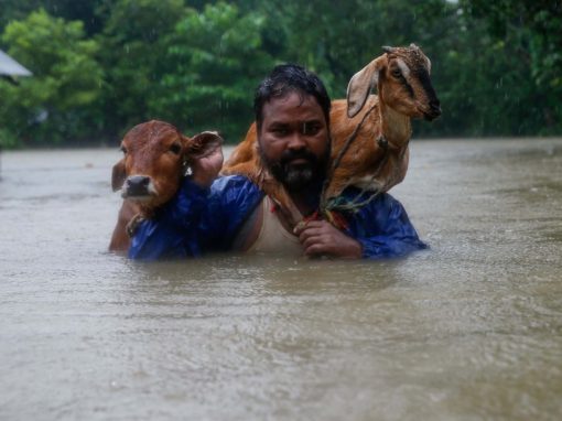Nepal Flooding : Help for Today, Help for Tomorrow